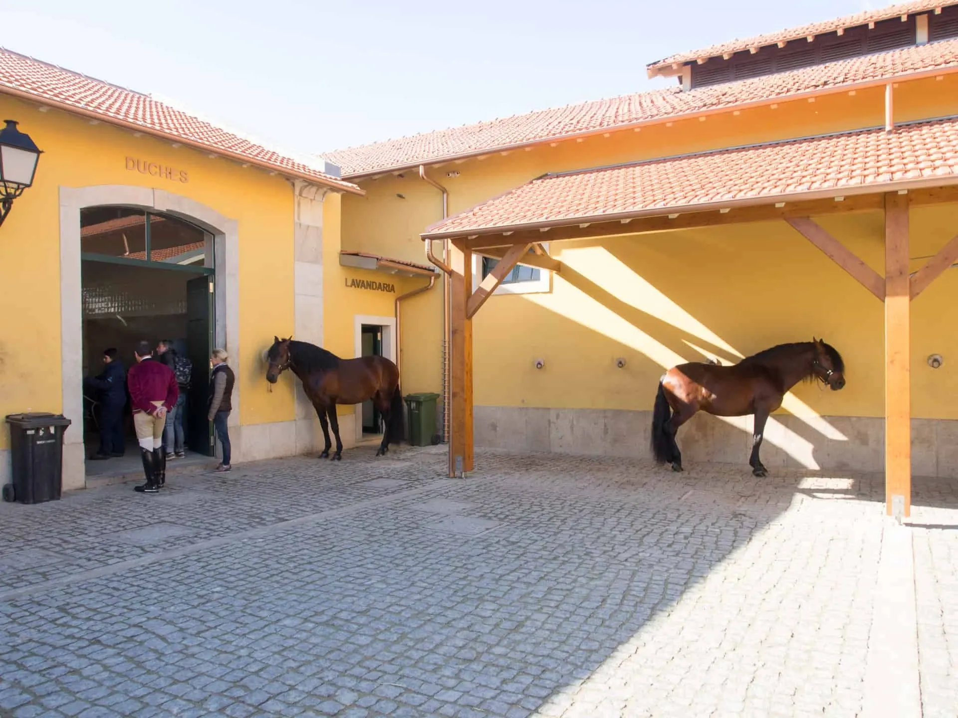 Lusitano Hengste Hofreitschule Belem in Lissabon Portugal