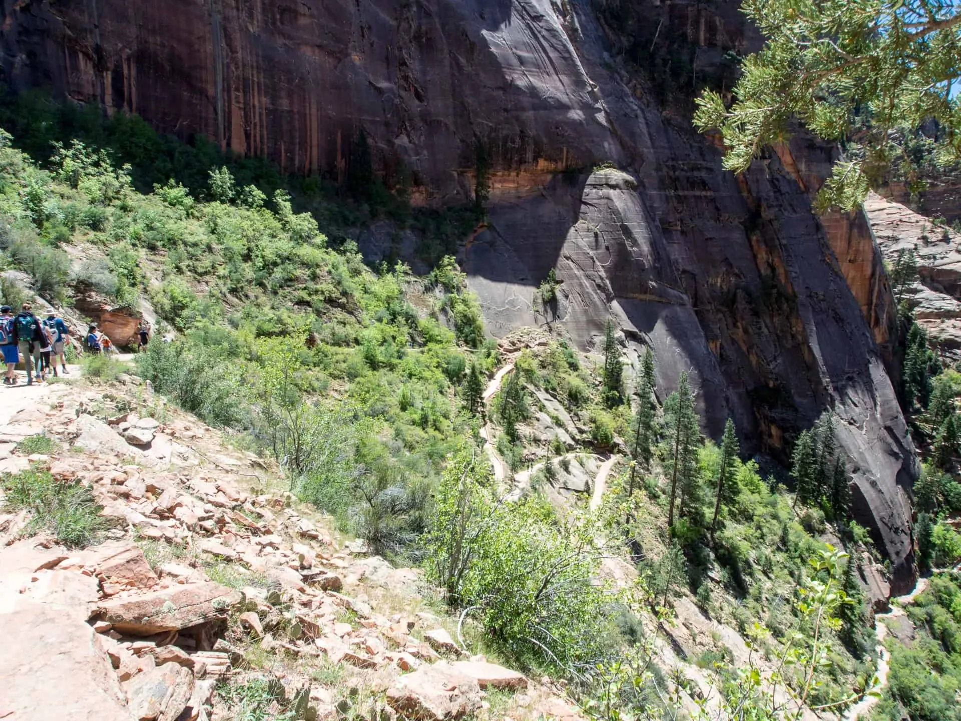 Trail im Zion Nationalpark