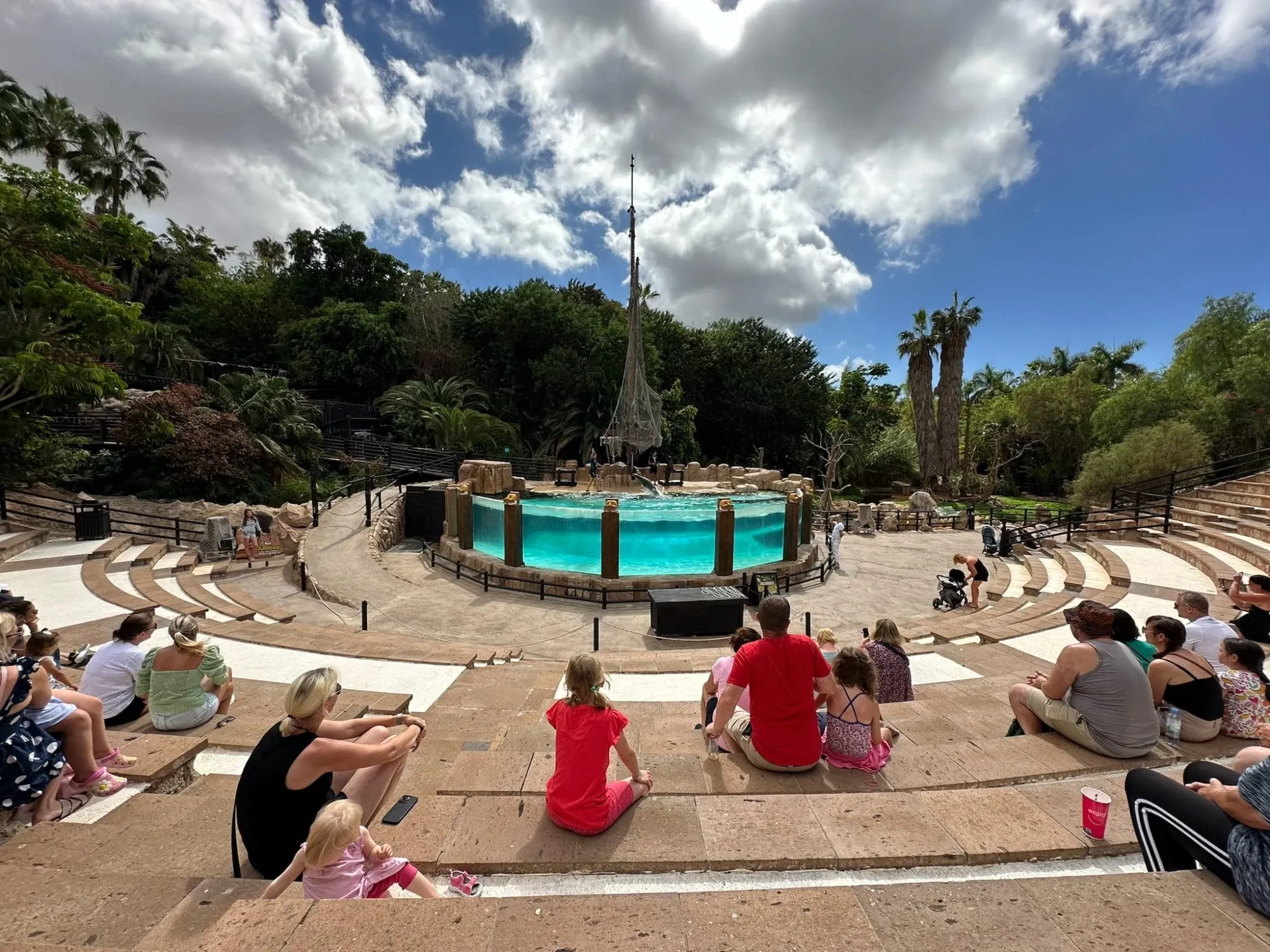 Robbenshow im Jungle Park Teneriffa
