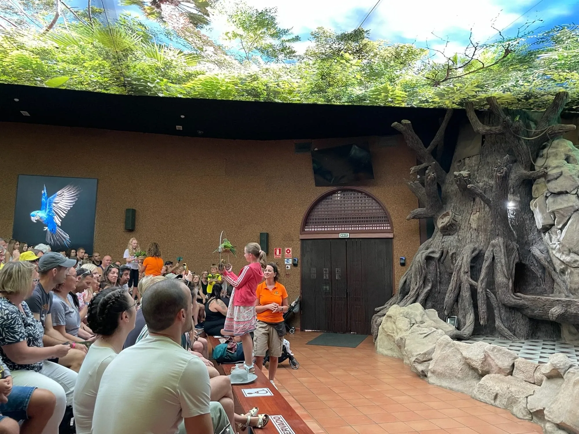 Loro Parque Papageienshow Teneriffa