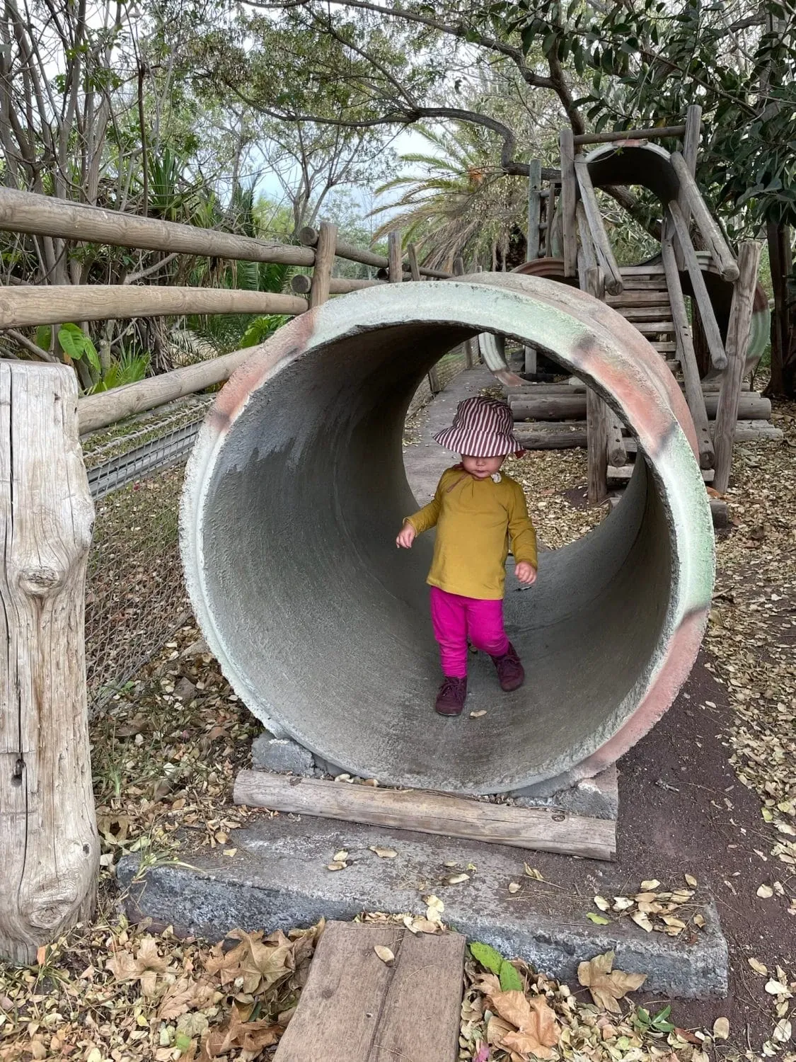 Jungle Park Teneriffa Abenteuerpfad