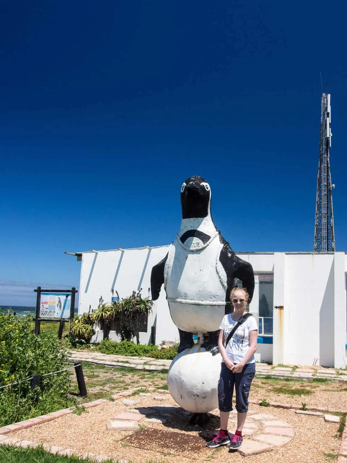 Pinguin-Rettungsstation in Cape St. Francis
