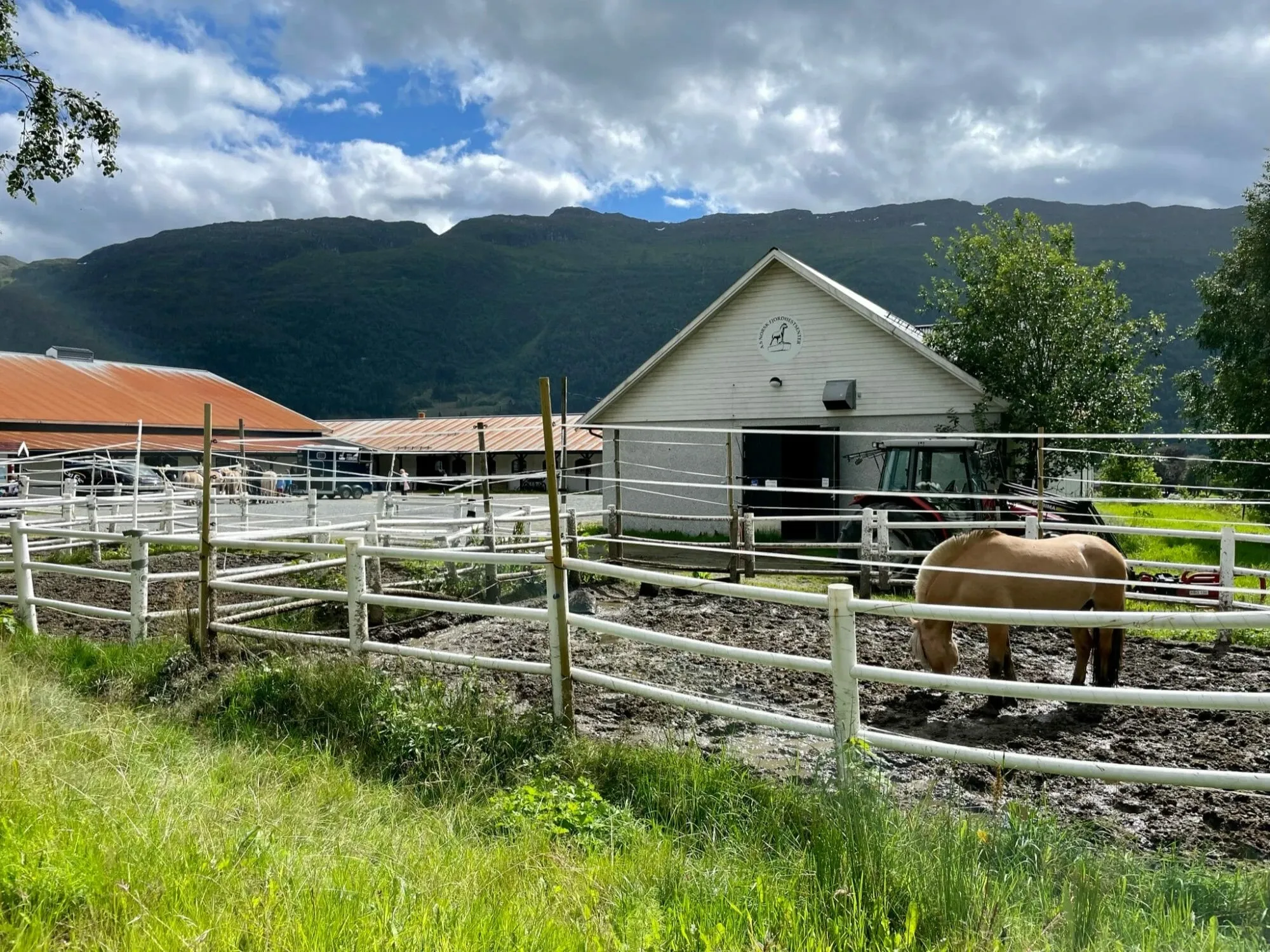Norweger Gestüt Nordfjordeid