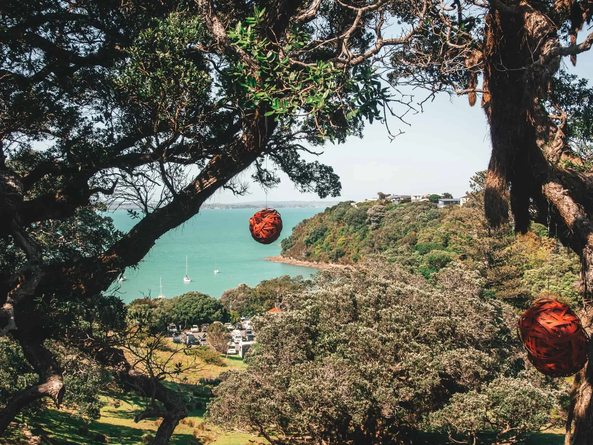 Wein-Tour auf Waiheke Island ab Auckland
