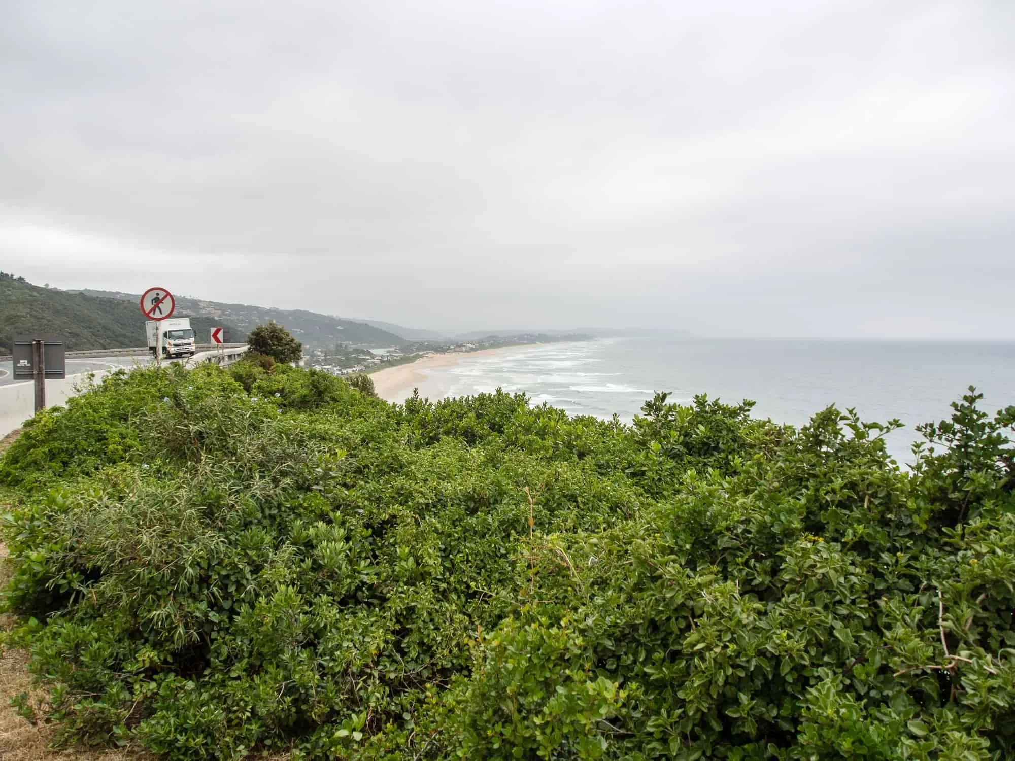 Dolphin Lookout Point