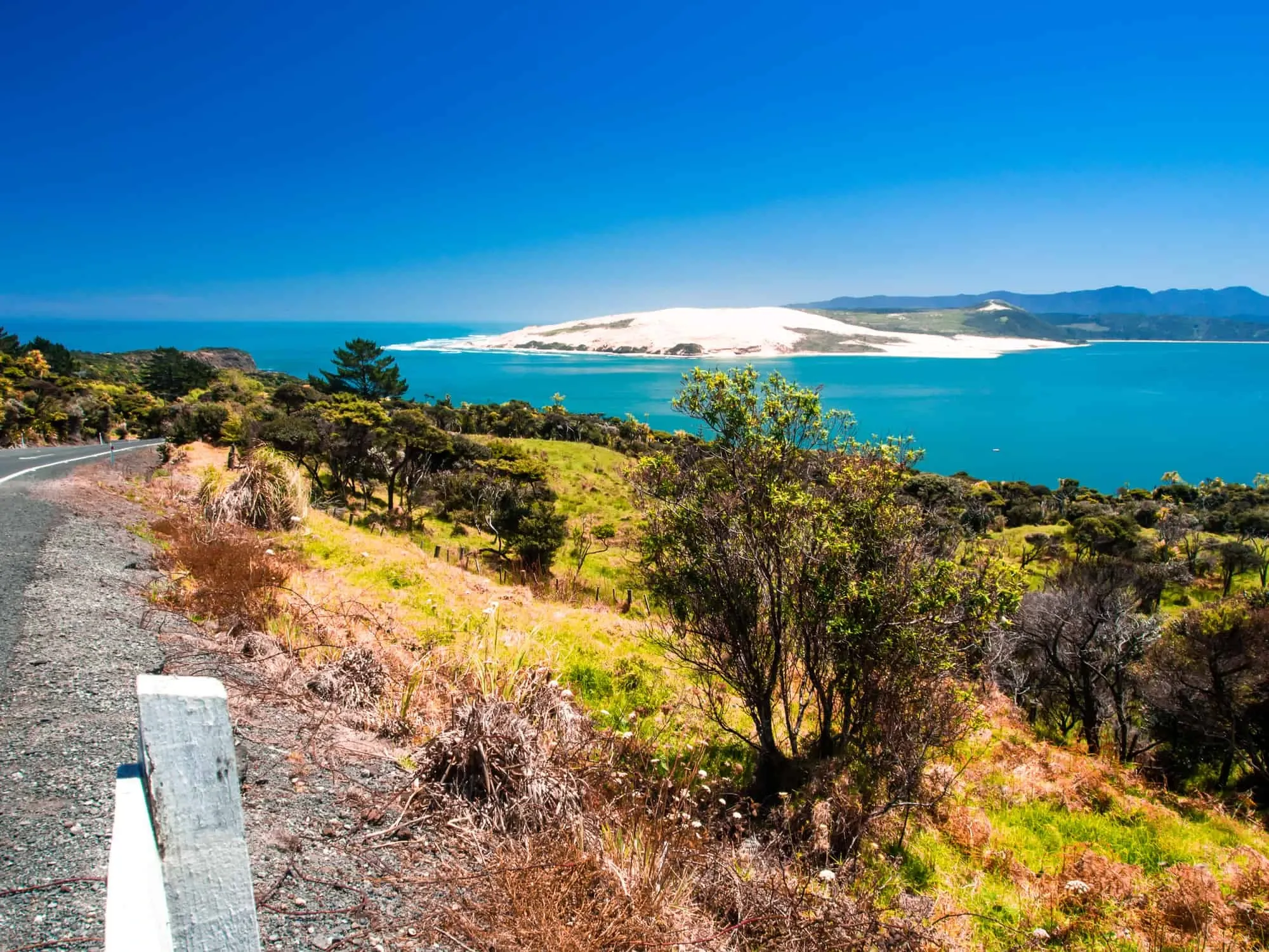 Pakia Hill Lookout Neuseeland