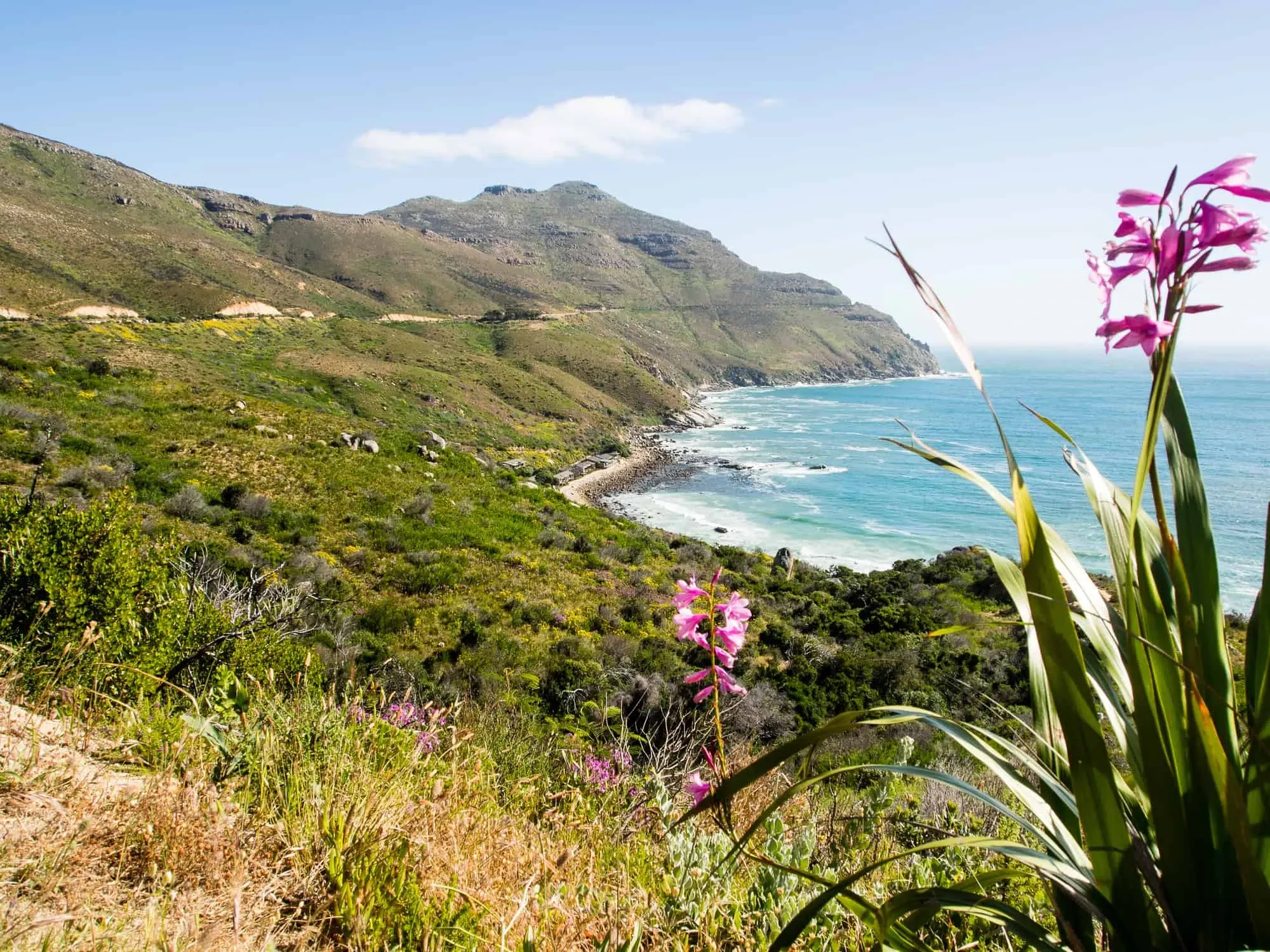 Kap der guten Hoffnung & Chapman’s Peak Drive