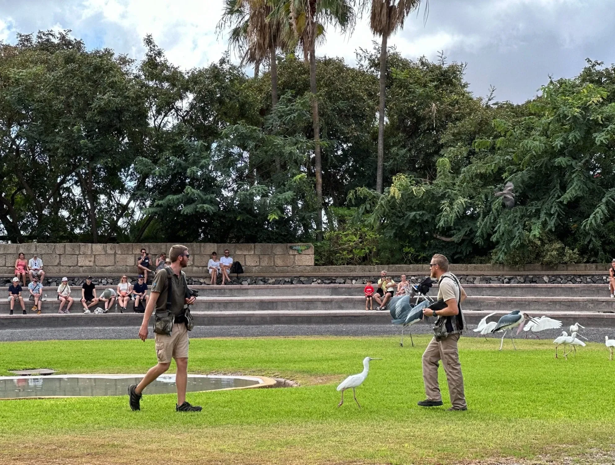 Vogelshow im Jungle Park Teneriffa