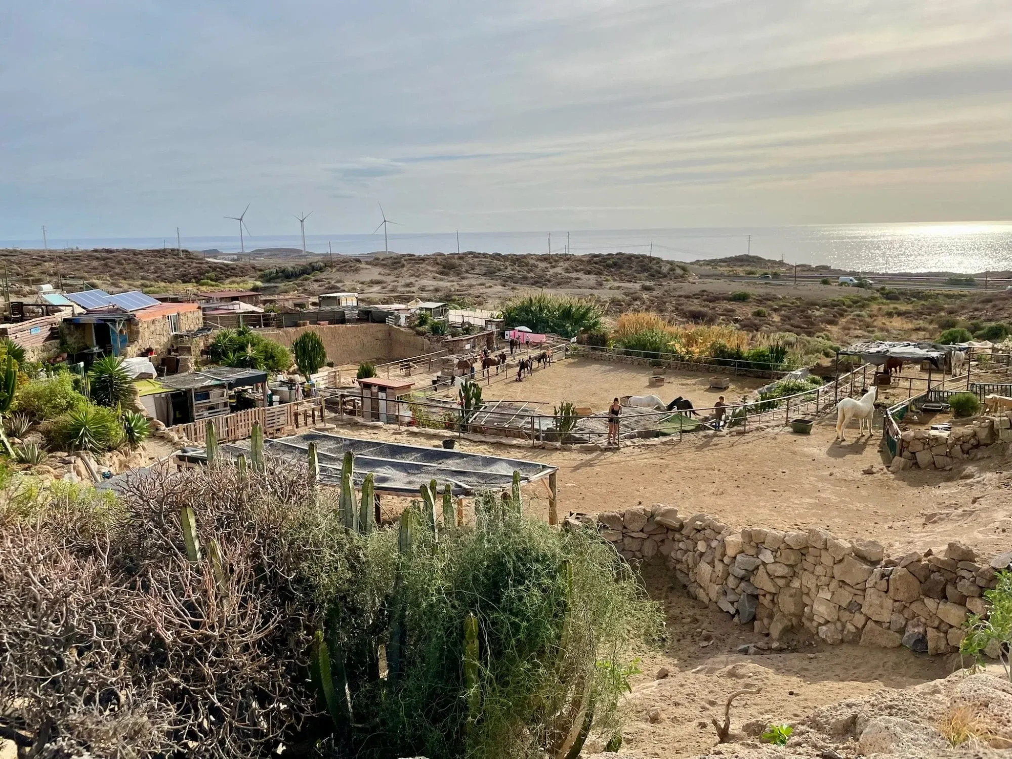 Tenerife Horse Rescue