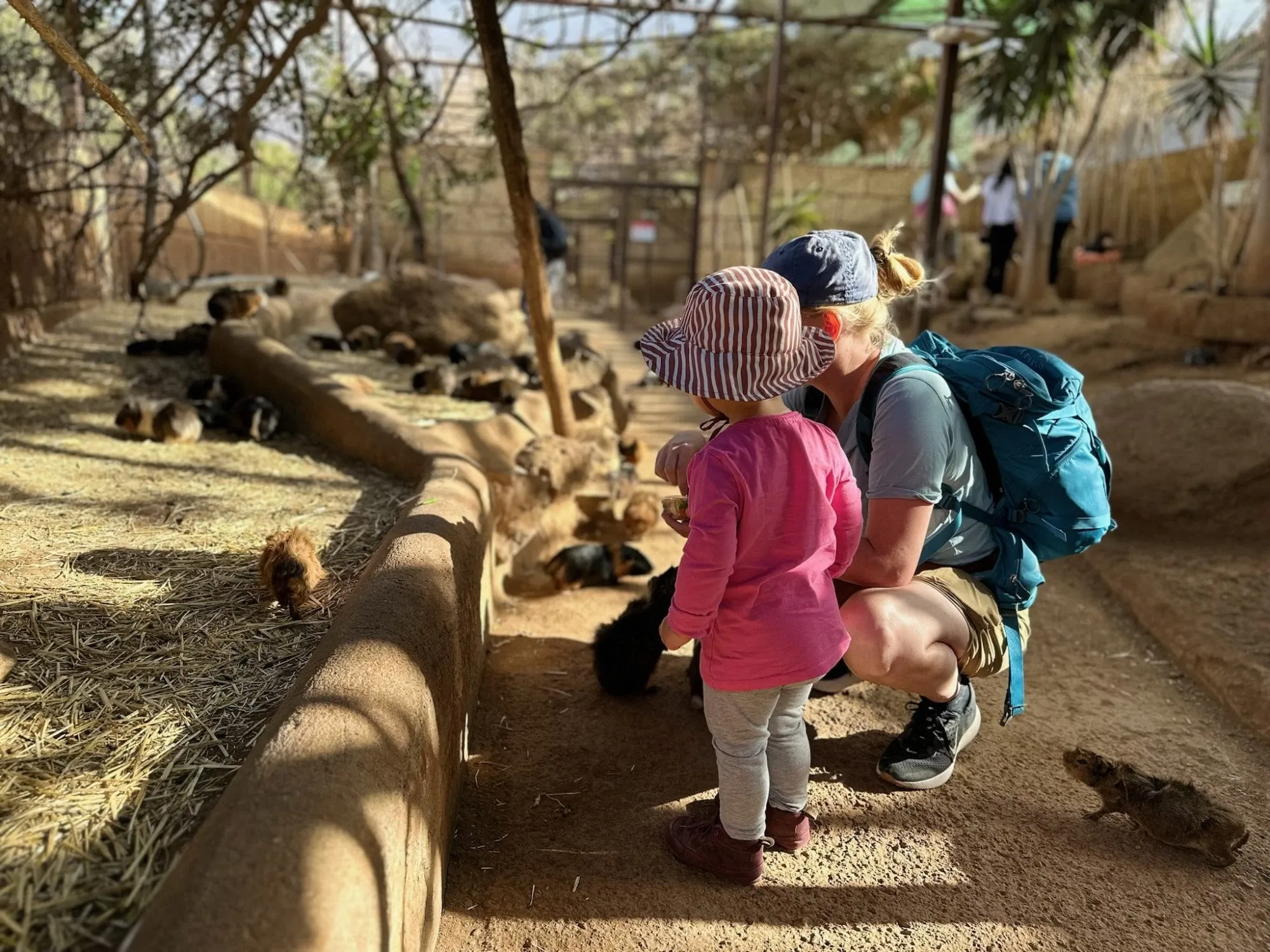 Monkey Park Teneriffa