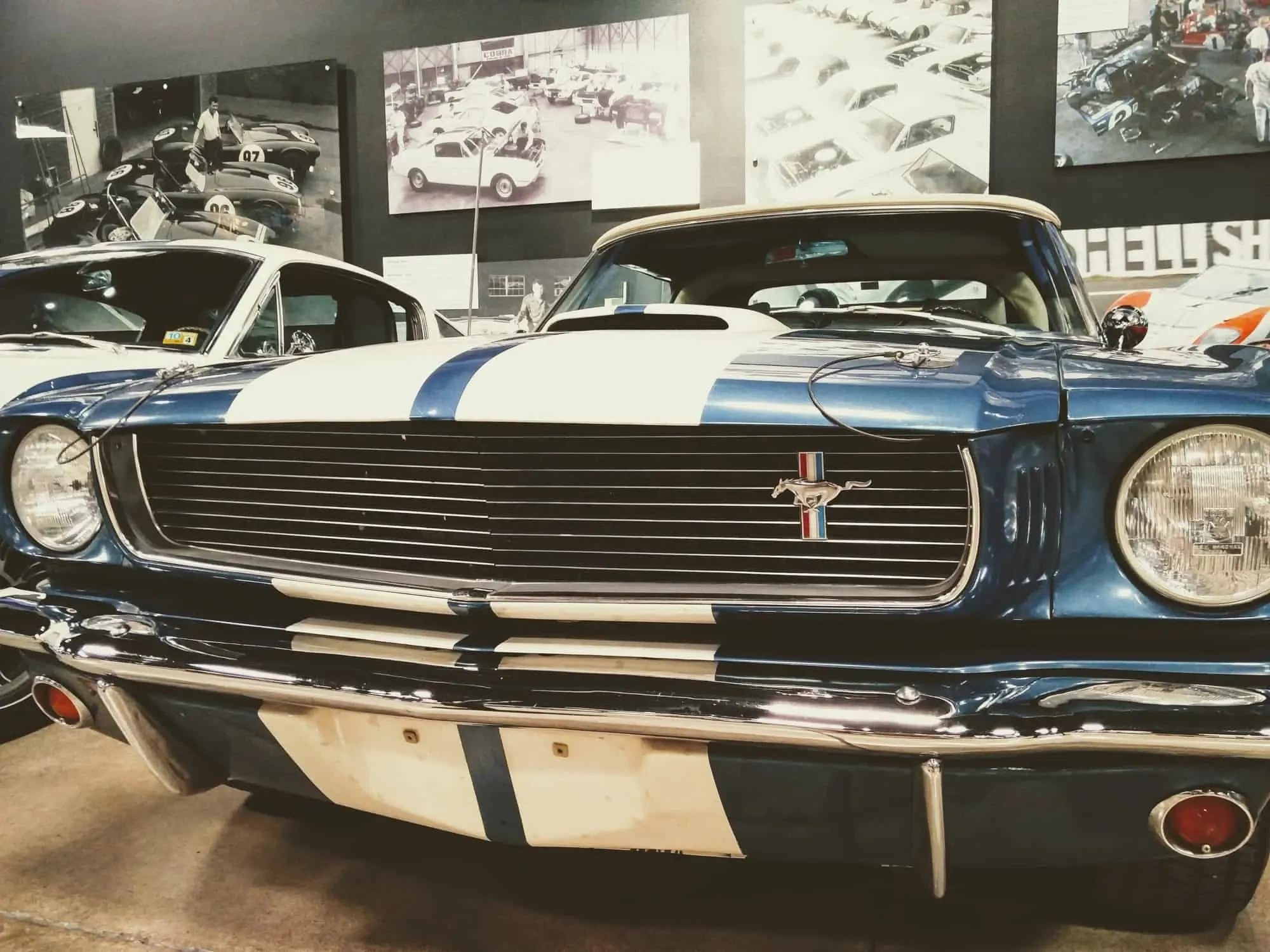 American Shelby in Las Vegas