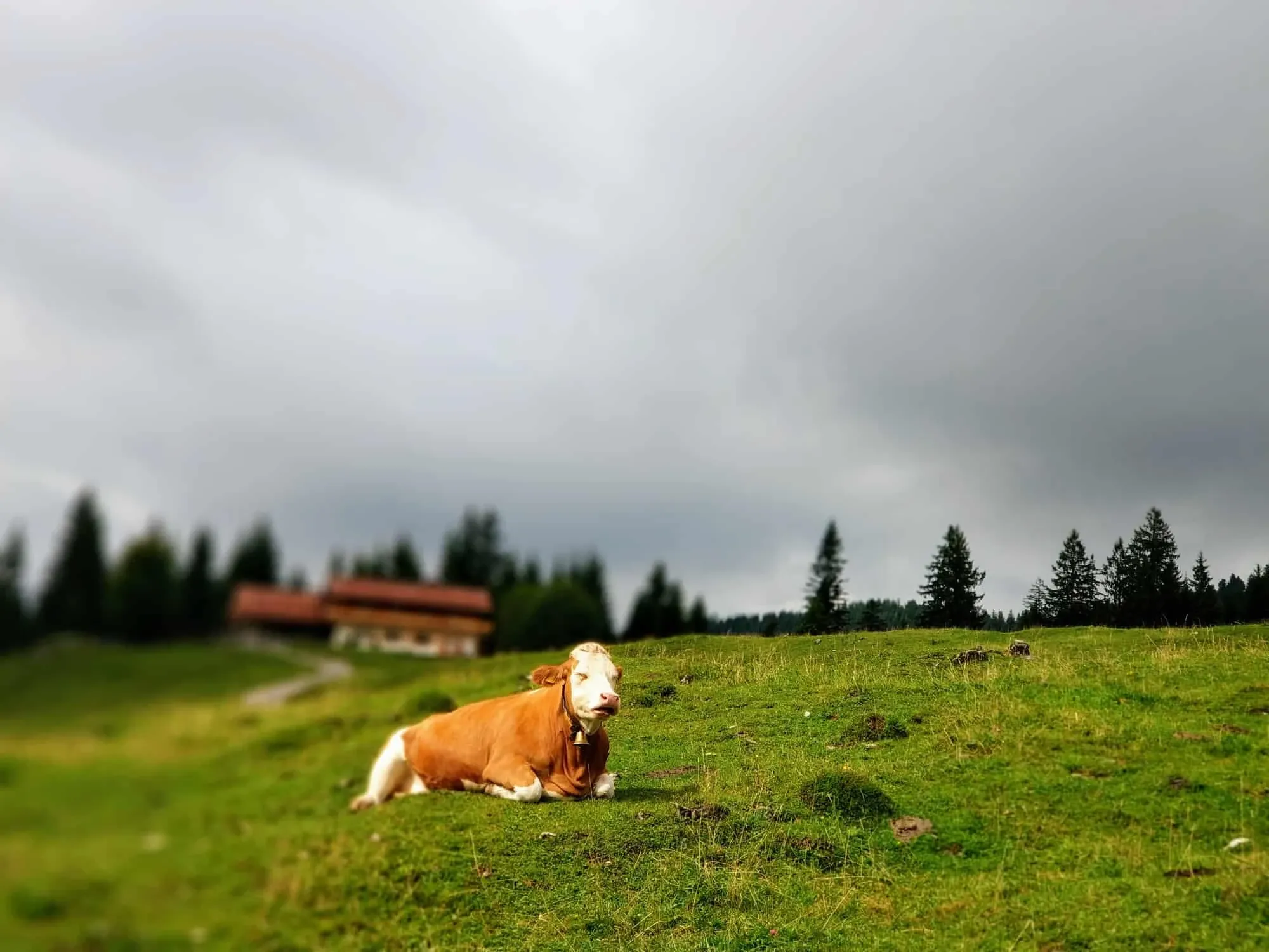 Der perfekte Tag in Reit im Winkl – trotz Regen!