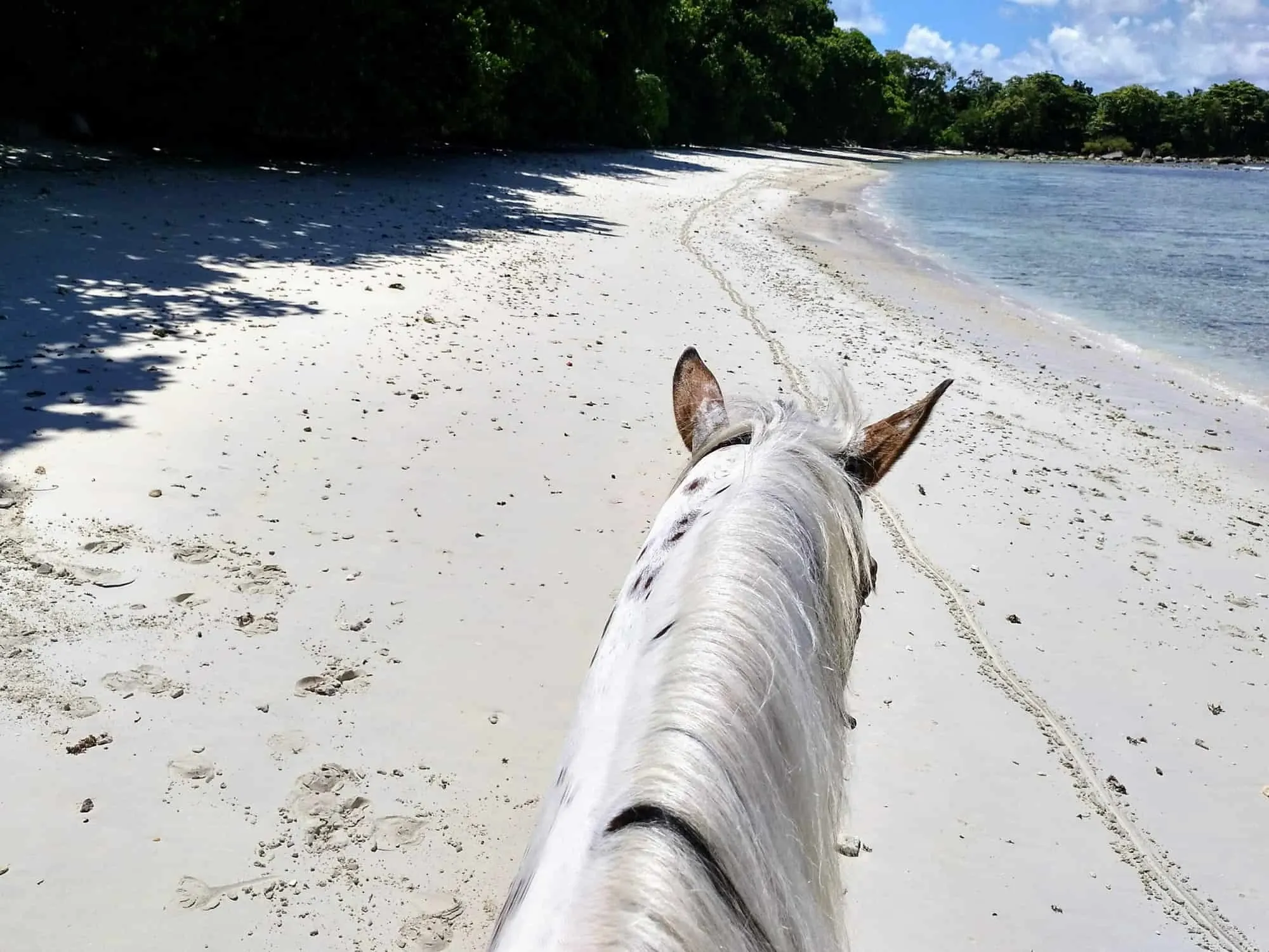 Traumstrände im Galopp erkunden – Reiten auf den Seychellen