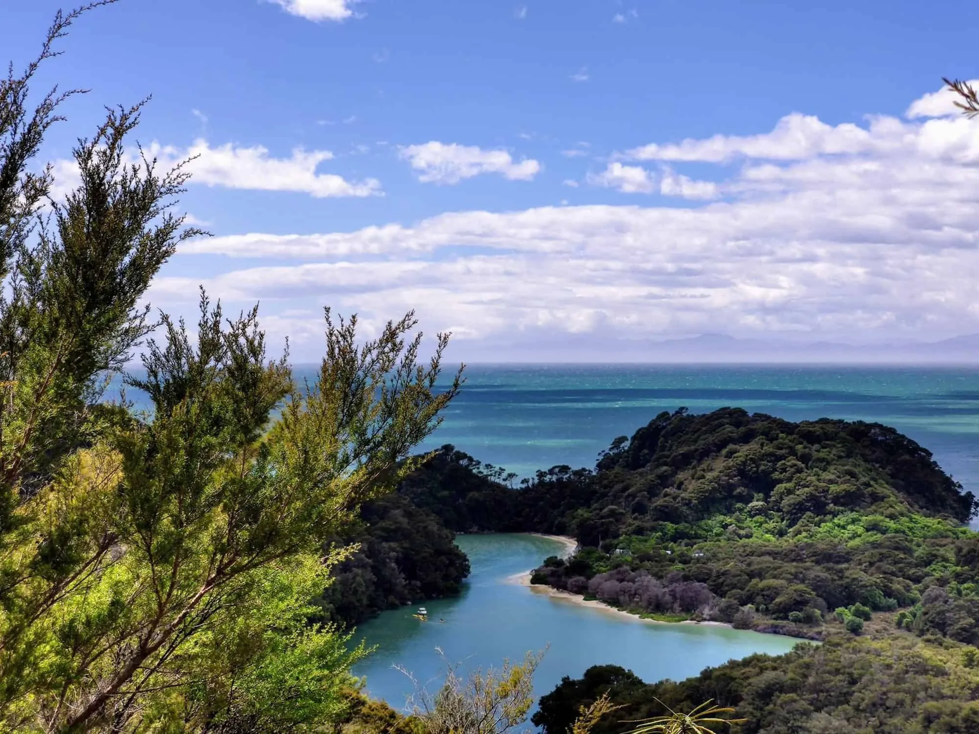 Wanderung im Abel Tasman Nationalpark in Neuseeland