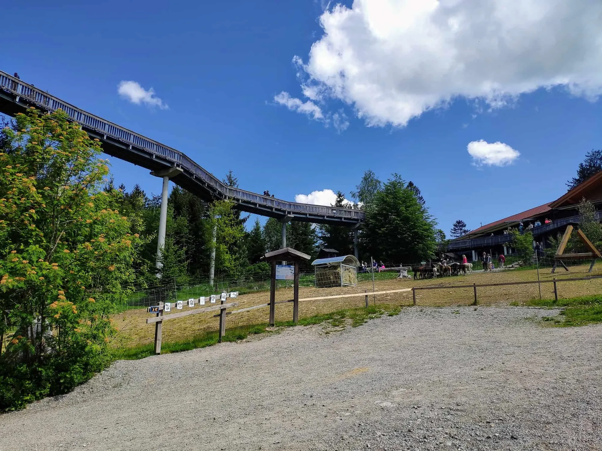 Baumwipfelweg Sankt Englmar Deutschland