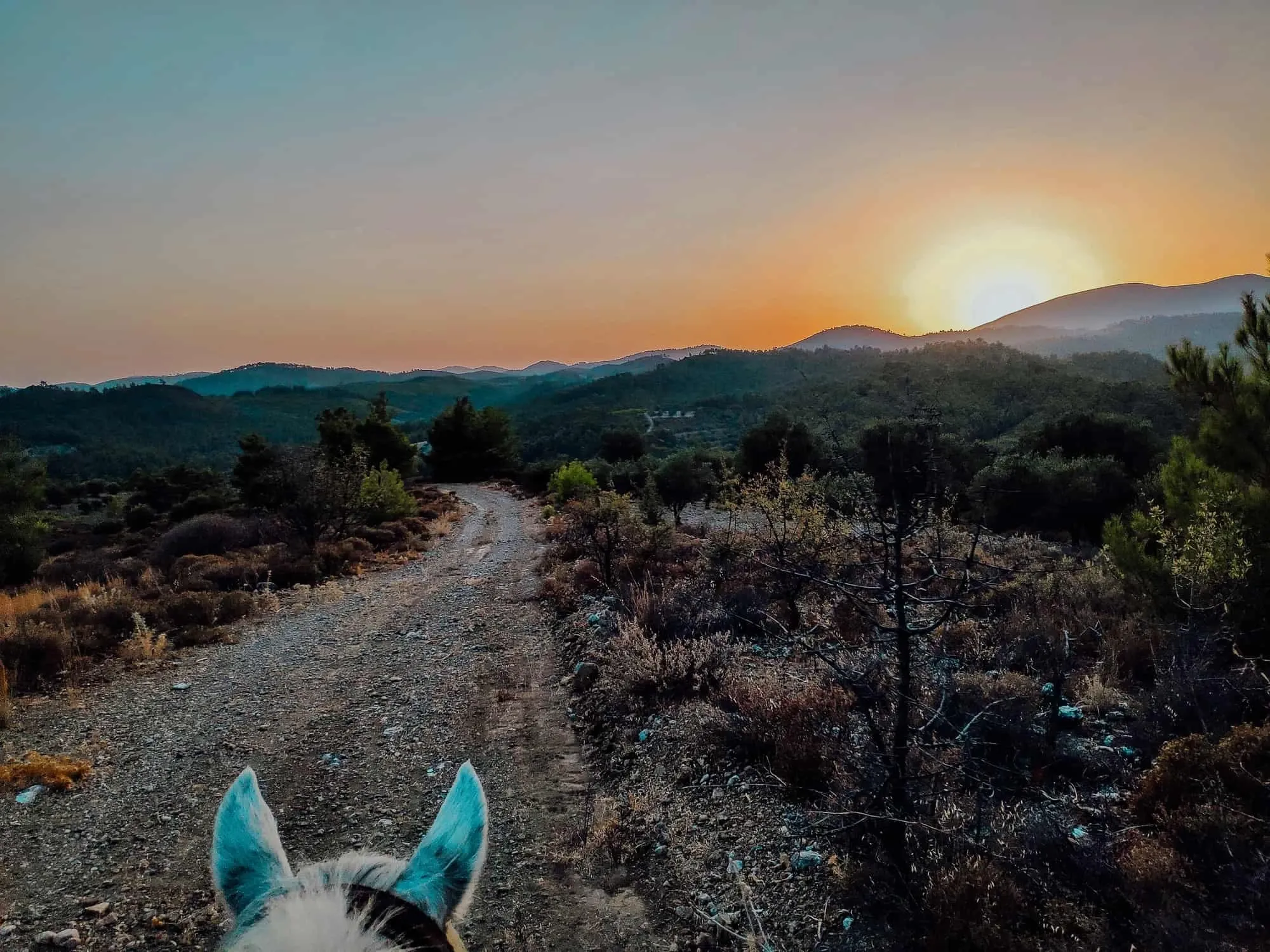 Ausritt Elpida Ranch Rhodos