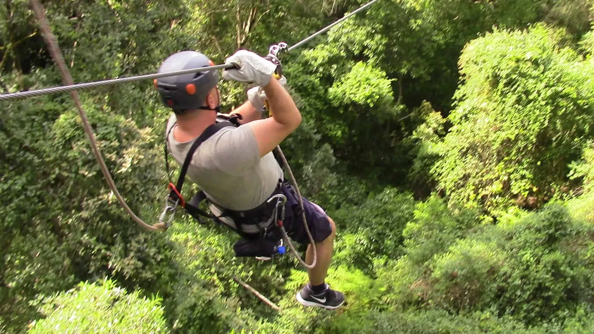 Rasant durch die Baumwipfel! Tsitsikamma Canopy Tour