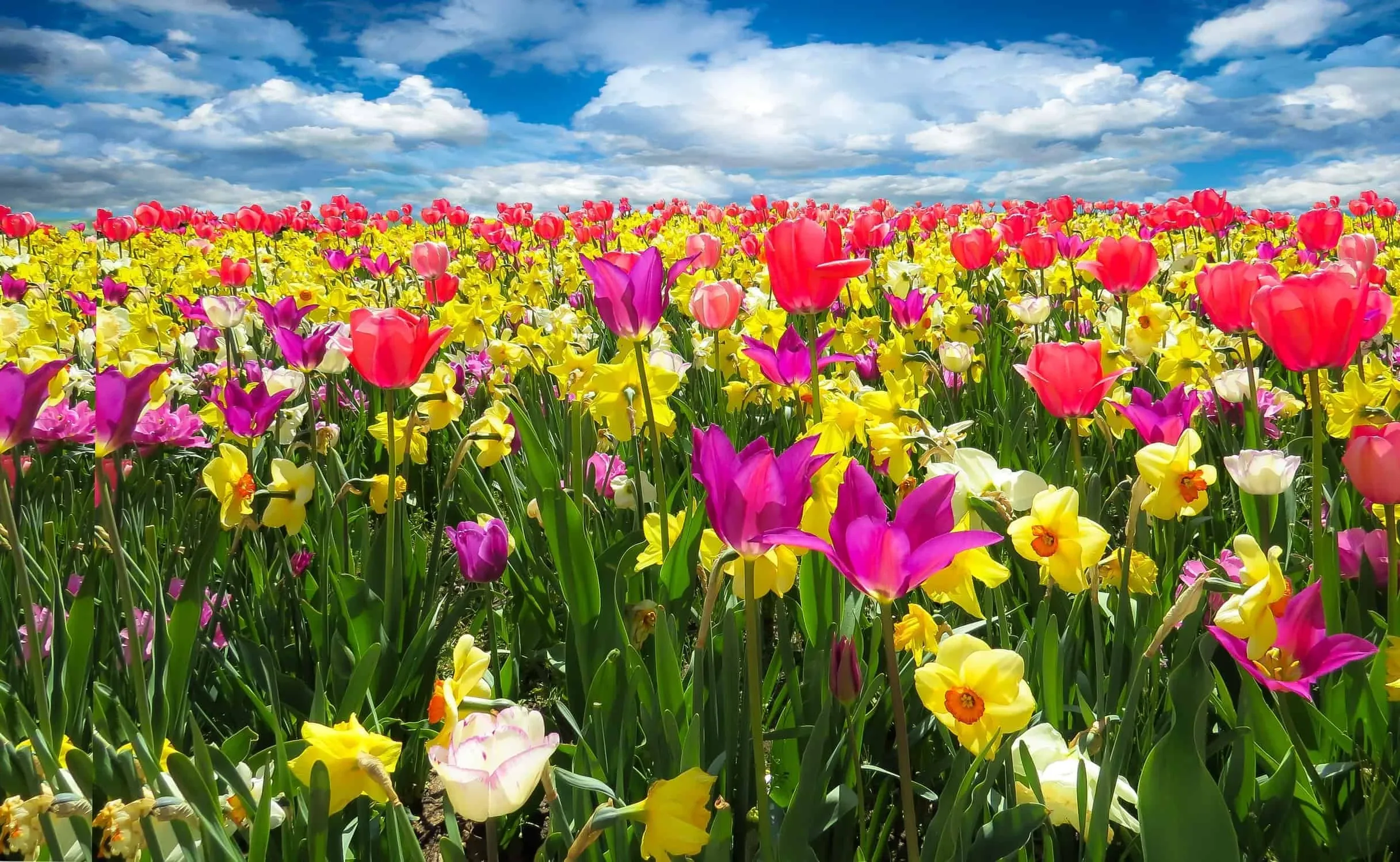 Wohin zu Ostern? Die 3 besten Reiseziele für die Osterferien