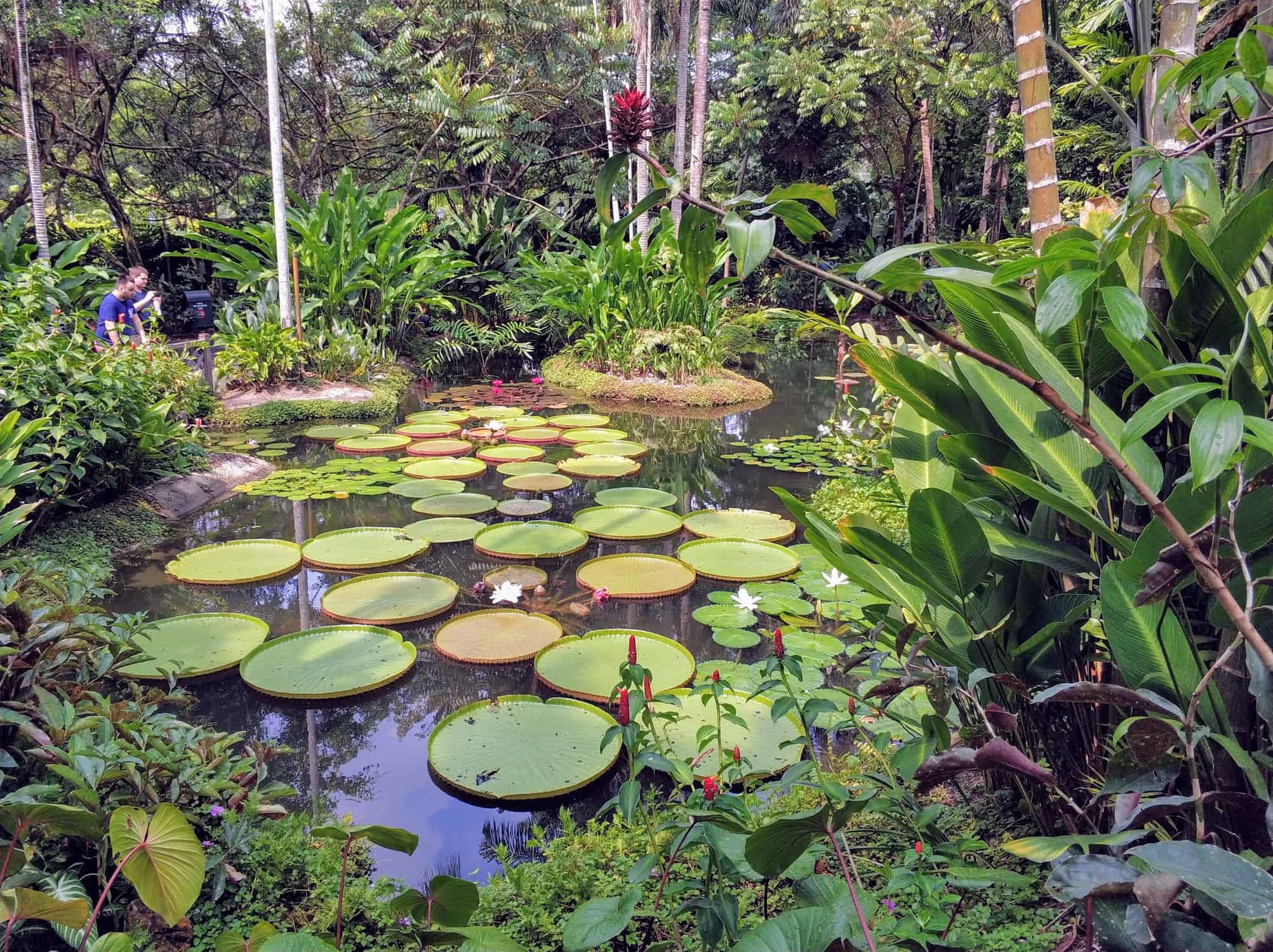 Botanischer Garten Singapur Sonnig Unterwegs Reiseblog